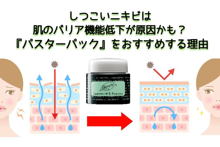 しつこいニキビは肌のバリア機能低下が原因かも？パスターパックをおすすめする理由 - クロロフイル美顔教室嶋村【京橋・守口】 お肌のこと